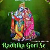 About Radhika Gori Se (Slow & Reverb) Song